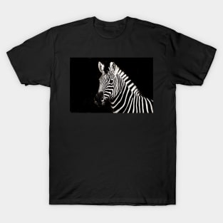 Zebra : Monochromatic | Black and White Series T-Shirt